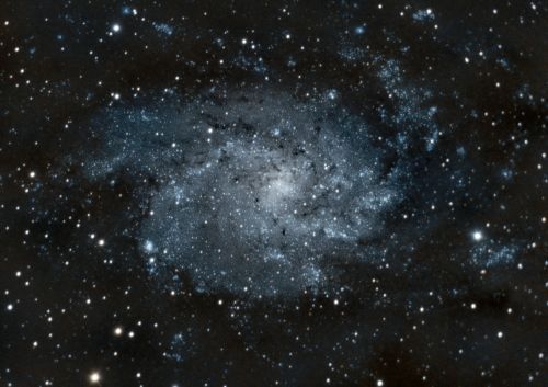 Messier 33- The Triangulum Galaxy