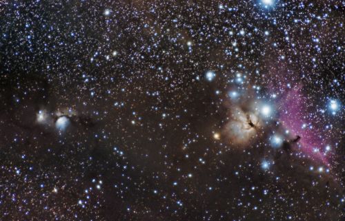Complex in Orion